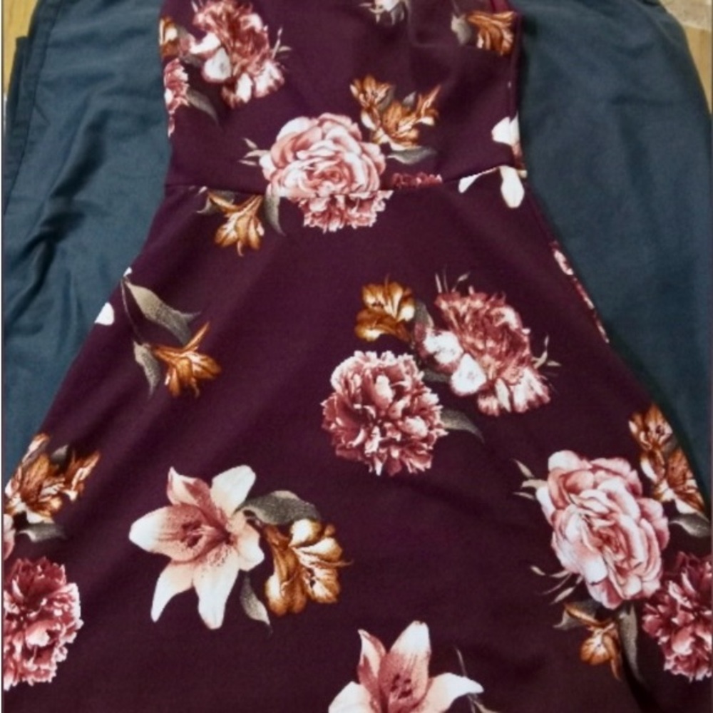 Blu Pepper Rich Red Mini Dress